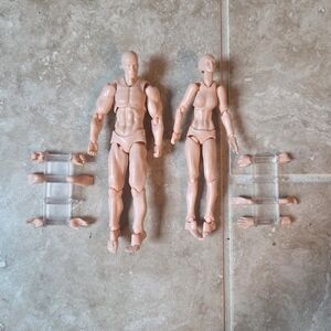 Articulated Drawing Reference Figures